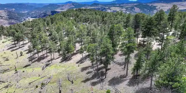 54 Holmes Gulch Road