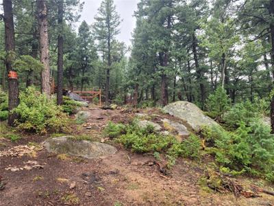 Fern gulch