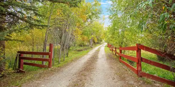 17007 County Road 338