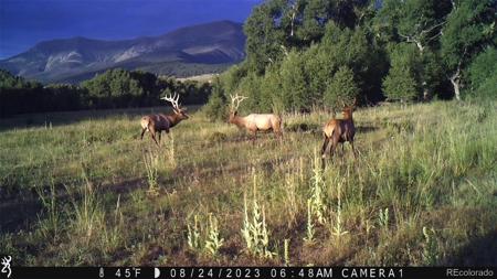 3870 County Road 125