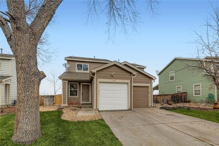 677 Mockingbird Street