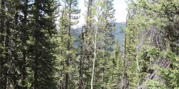 00 Georgia Pass Lookout