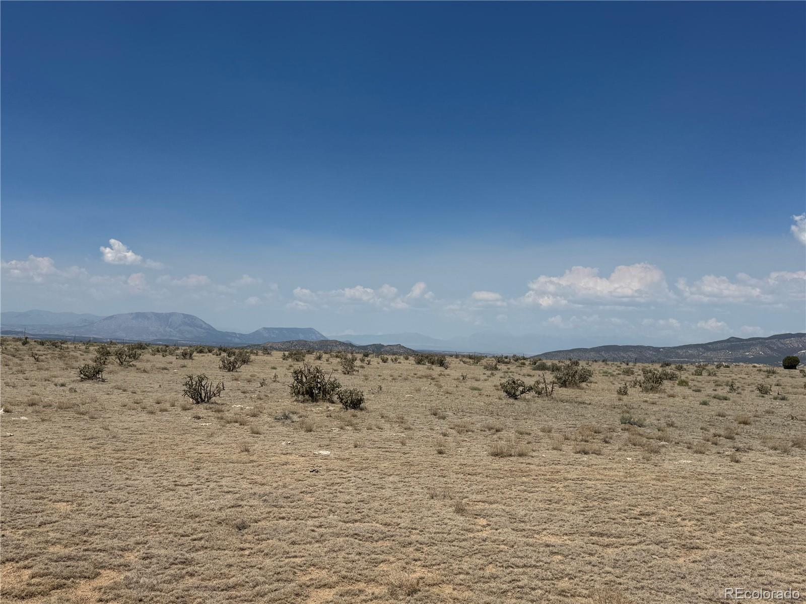 Image 4 Image 4