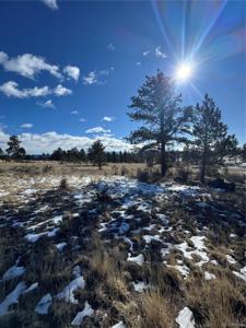 861A State Highway 24