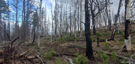 Lot 2738 Newman Place