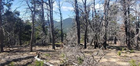 Lot 2739 Newman Place