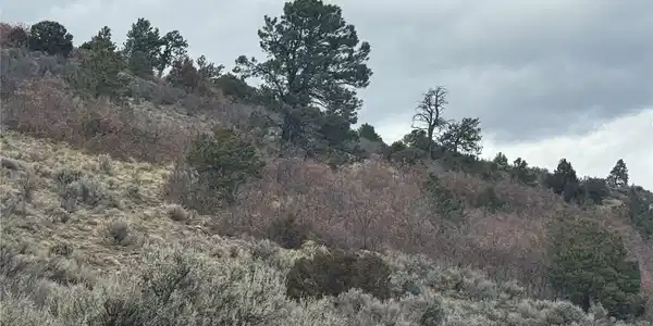 Image 3 Image 3