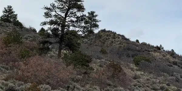 Image 4 Image 4