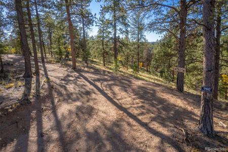 980 Spring Creek Drive