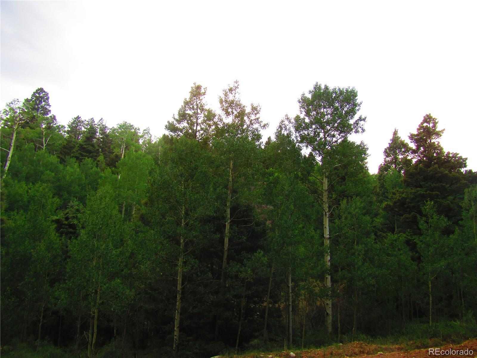 Image 3 Image 3