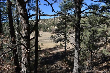 268-269 RANCHO LA GARITA FILING NO-8,