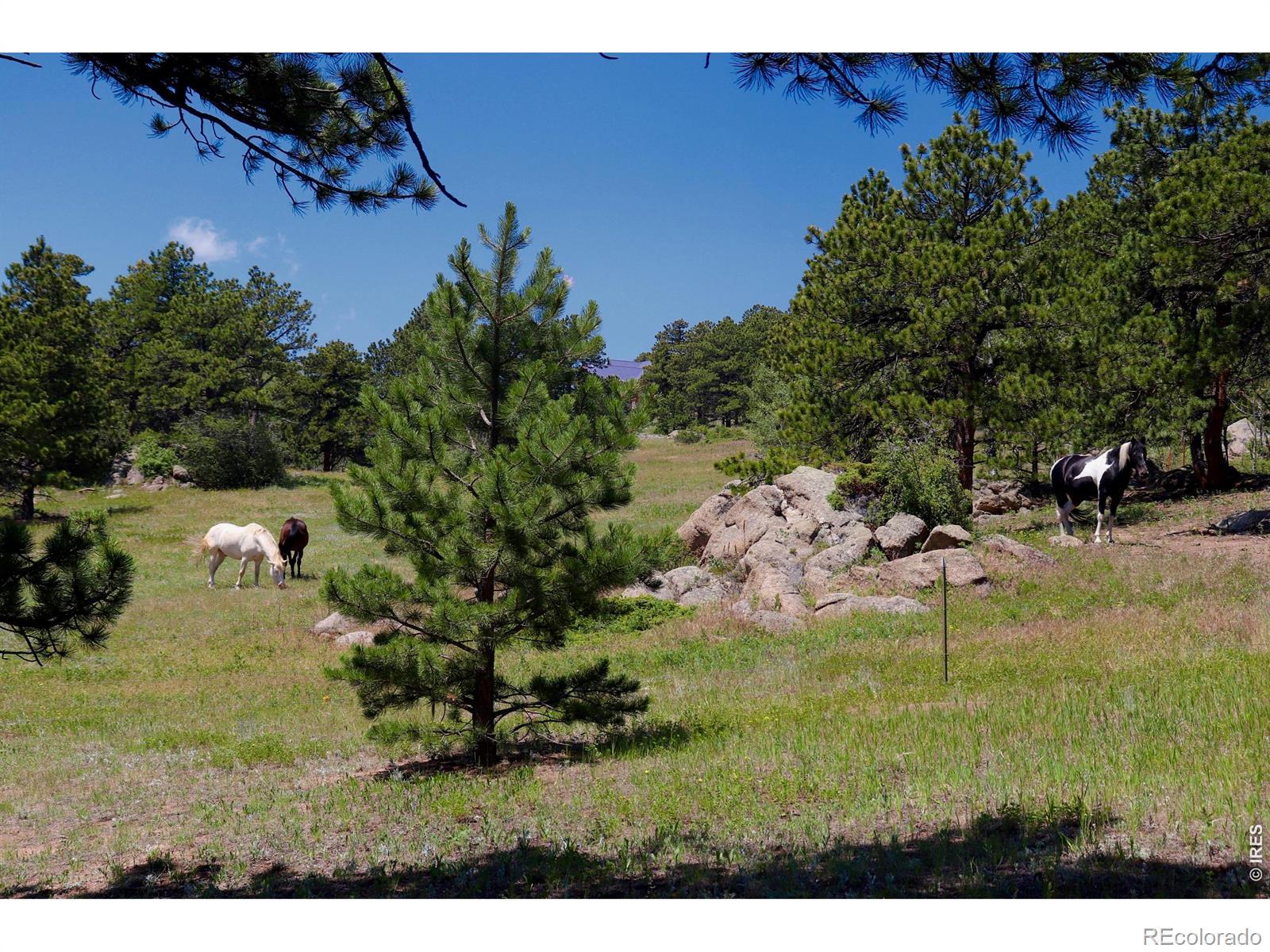 Image 4: Wrapped on three sides by neighborhood open space and pastoral pastureland this home offers a uniquely private and open setting.