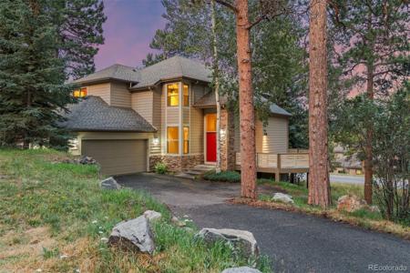 3396 White Bark Pine