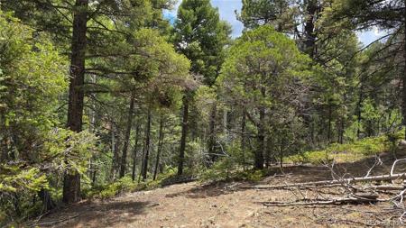 Lot 5540 Joy Road