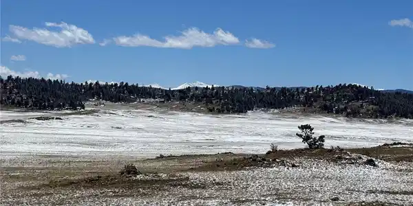 0001 Dog Chief Trail