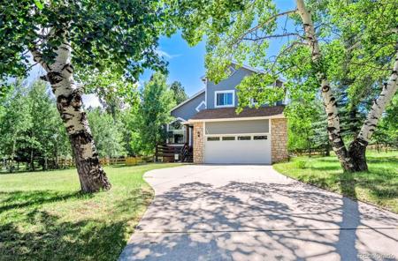 441 Black Bear Trail