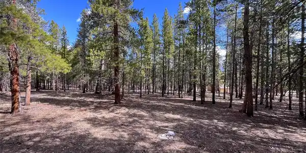 30336 National Forest Drive