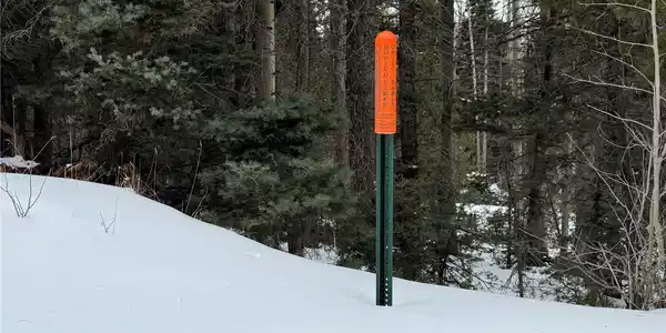 Image 2 Image 2