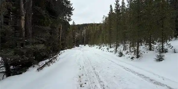 Image 3 Image 3