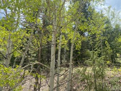 88 N Fork Road