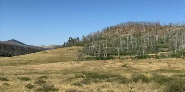 Lot 427 Kettleson Place