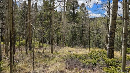 Lot 5853 Slegers Road