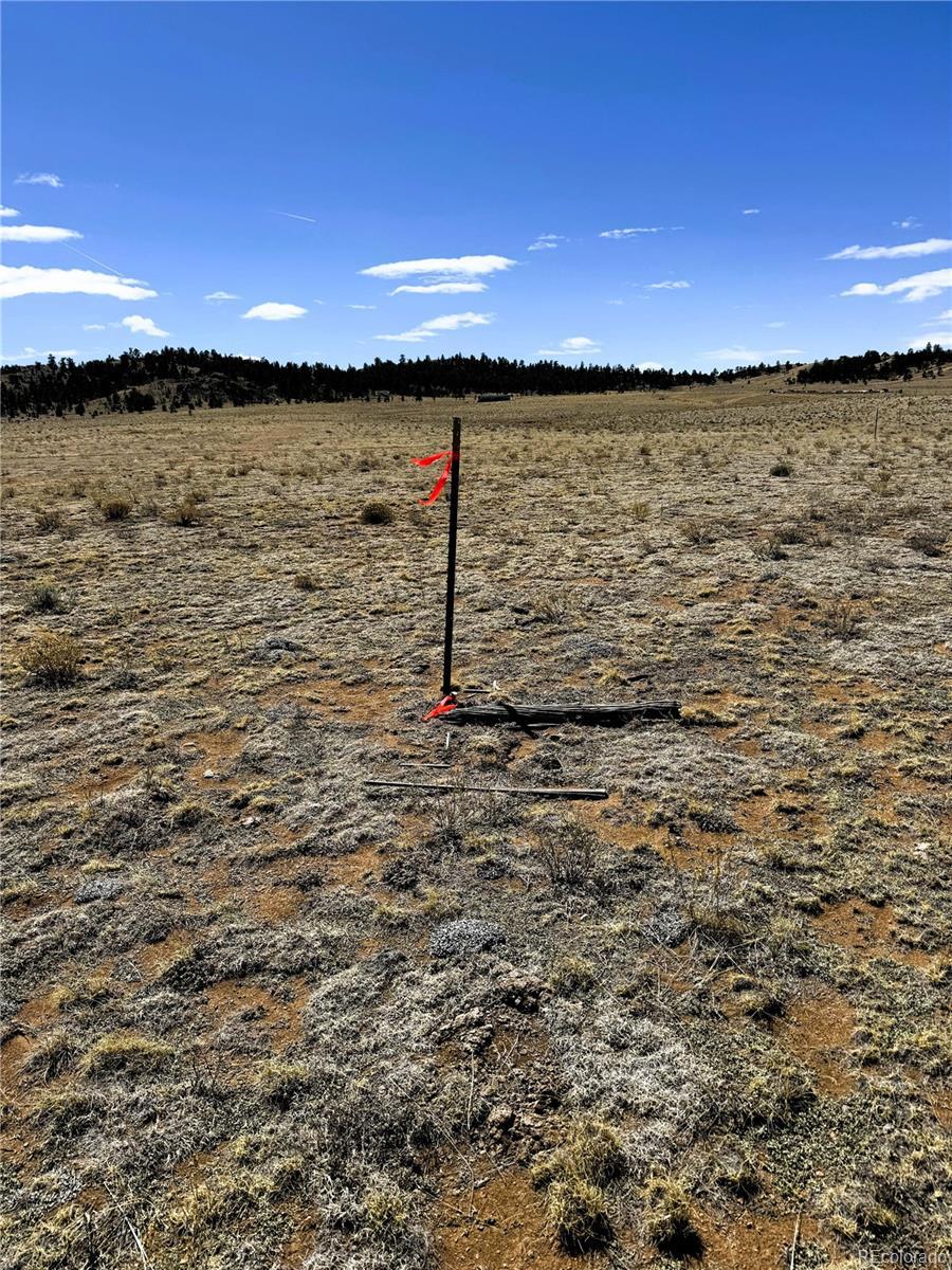 Image 4: The southwest corner of the property