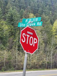 Ute Creek Road