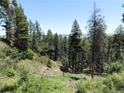 13520 Woodmoor West Drive