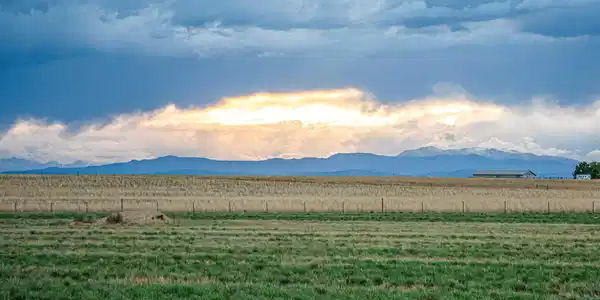 TBD County Road 100