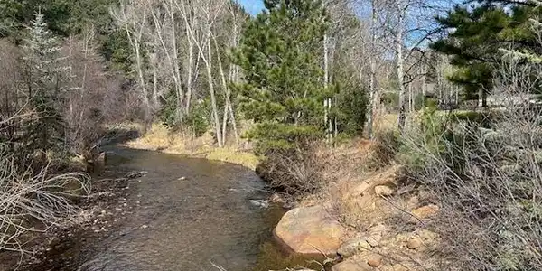 Old Ranger Drive