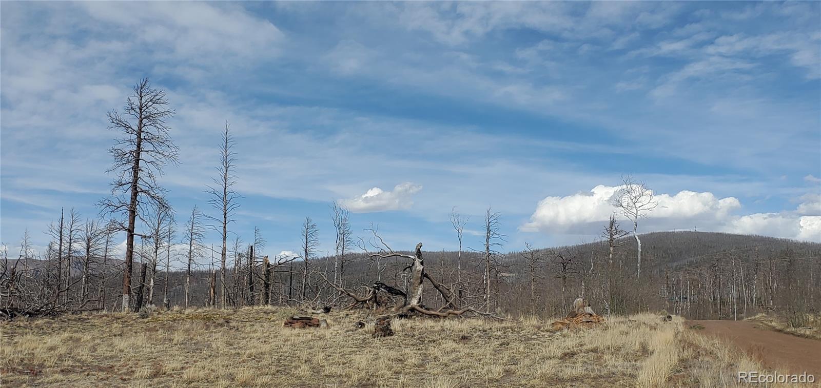 Image 4 Image 4
