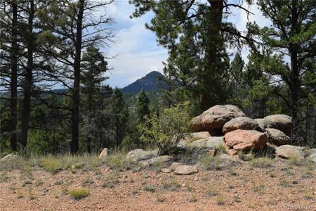 93 Kiowa Creek Trail