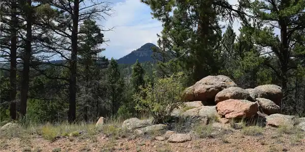 93 Kiowa Creek Trail