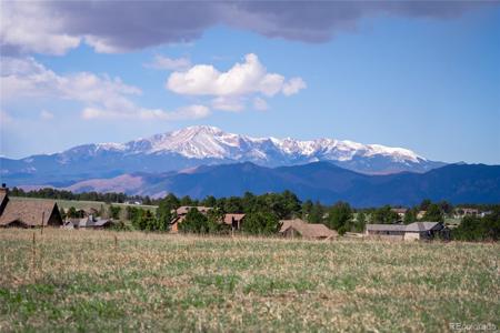 16924 Horizon Ridge Trail