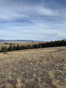 000 Louisiana Ridge