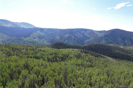 000 Forest Rd 504