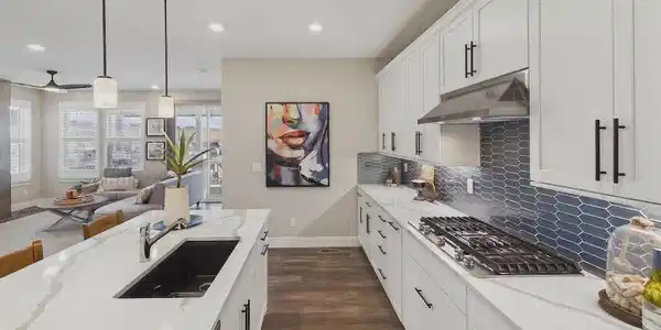 17433 W 93rd Place