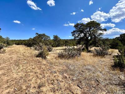Lot 919 Los Vaqueros Circle