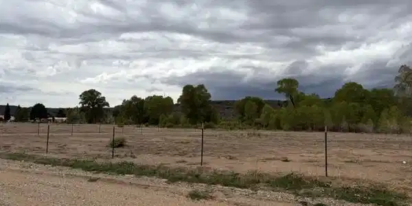 Image 4 Image 4