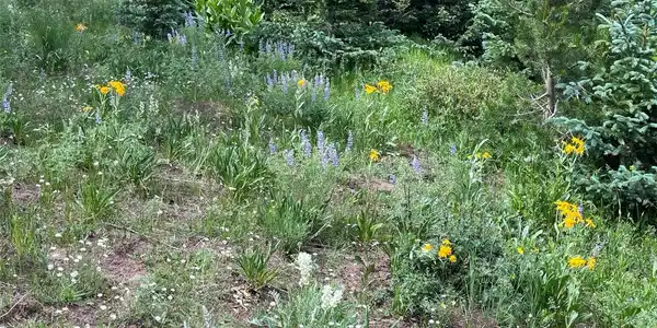 Image 3 Image 3
