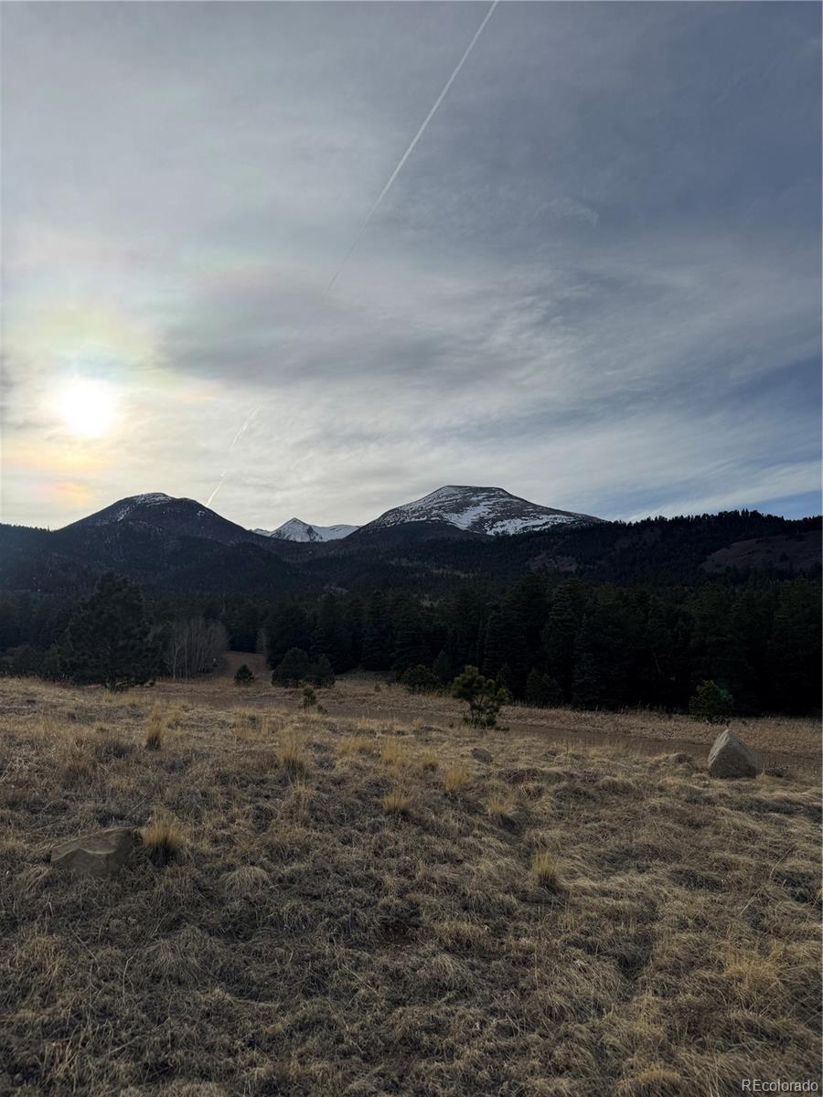 Image 3 Image 3