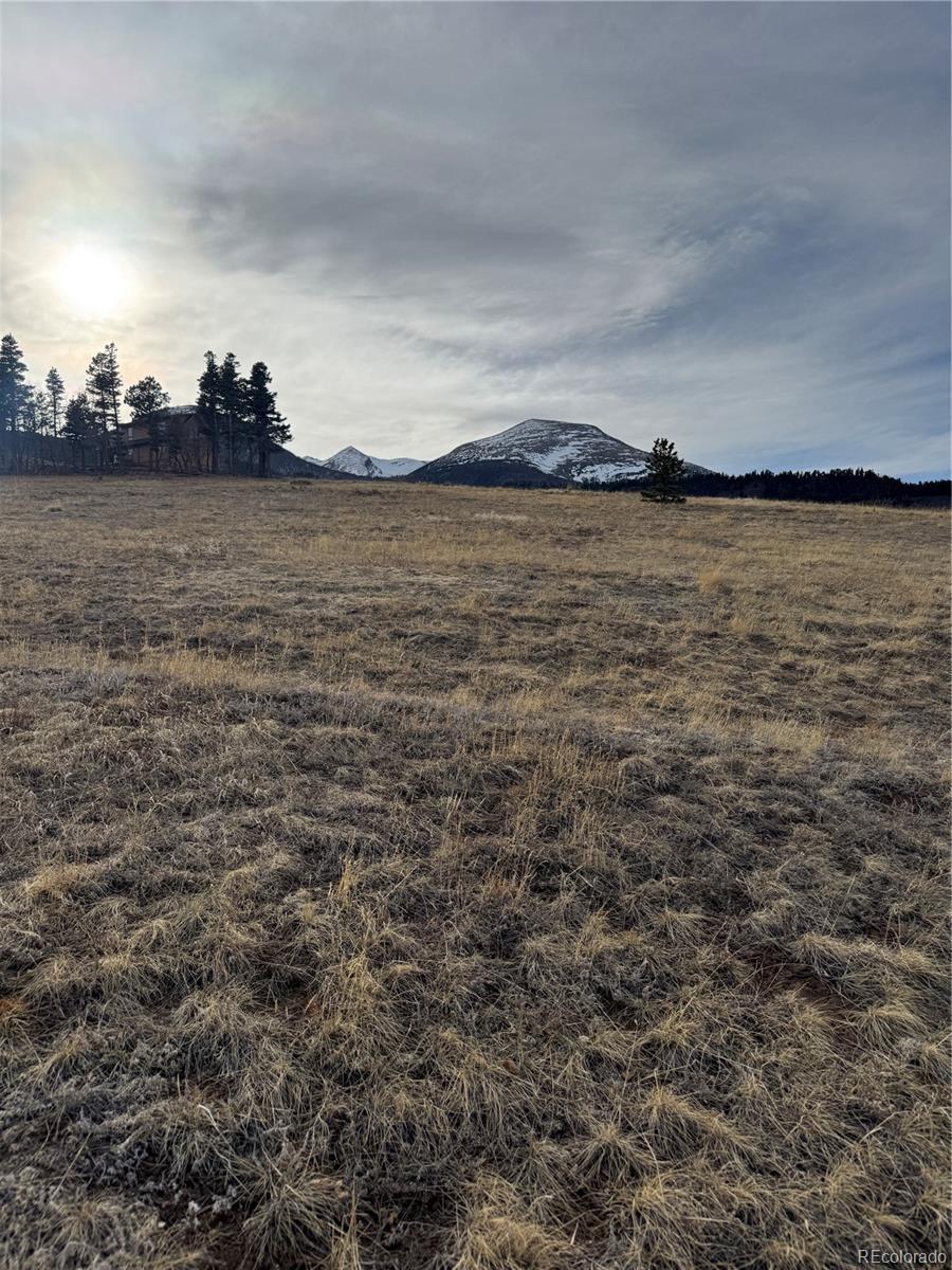 Image 4 Image 4