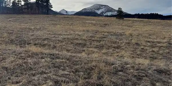 Image 4 Image 4