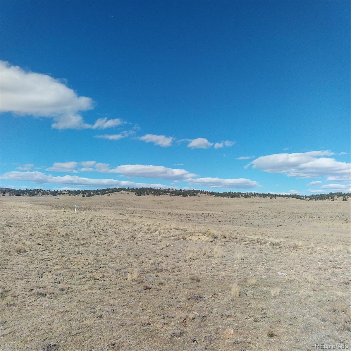 Image 3 Image 3