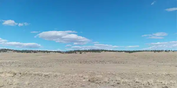 Image 4 Image 4
