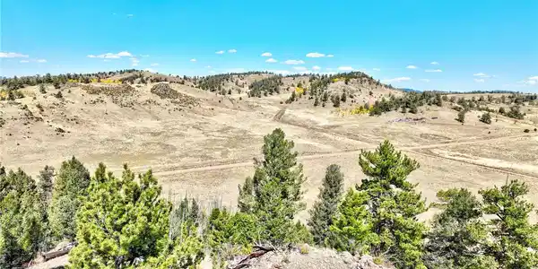 3433 Dog Chief Trail