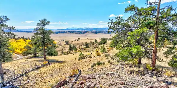 3431 Dog Chief Trail