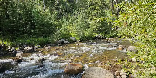 19039 Monarch River Drive