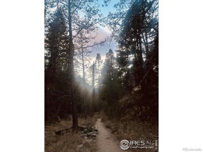 1037 Wagonwheel Gap Road